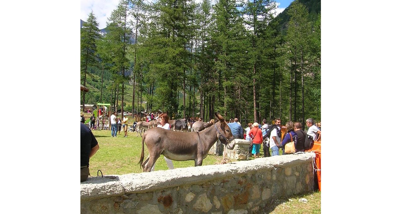 Aosta Otto itinerari per visitare la Vallée