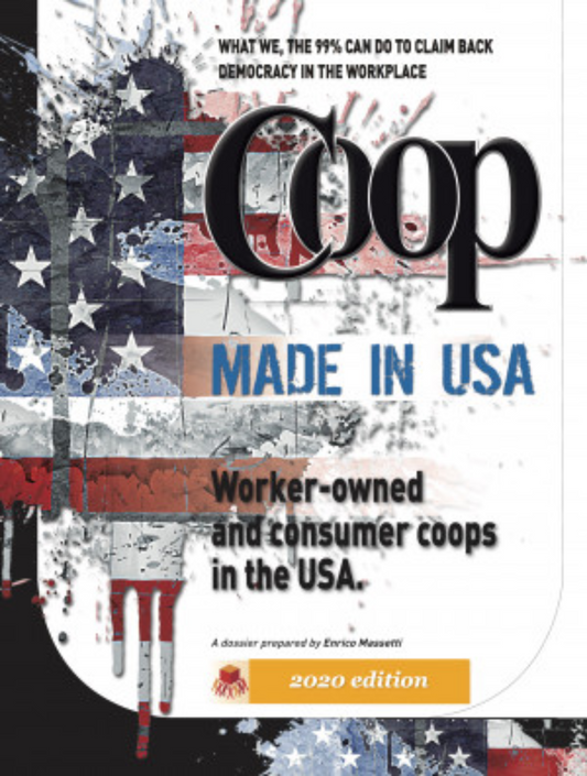 Worker-Owned Consumer And Electrical  Cooperatives in the USA